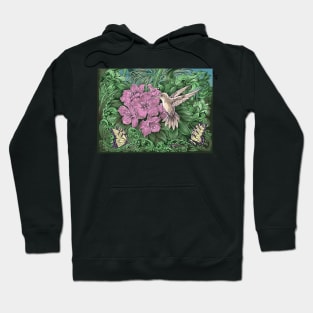 Pen and ink Hummingbird Hoodie